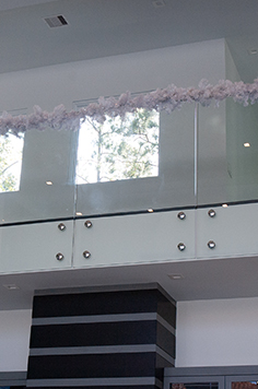 Frameless Shower Doors